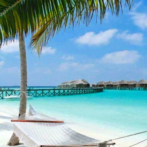 Meet your Posher, Anastasia - Picture 1 of 1